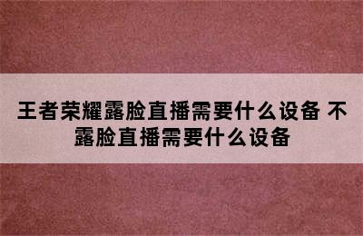 王者荣耀露脸直播需要什么设备 不露脸直播需要什么设备